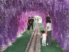 -长洲岛都市农业公园