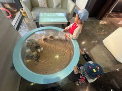 -上海怡沁园度假酒店