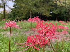 -白塘生态植物园
