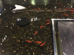 -上海怡沁园度假酒店