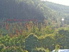 -十万大山布透温泉