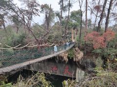 -千岛湖东南湖区