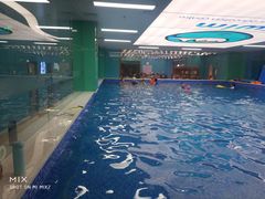 -Swim斯卫姆国际儿童游泳中心(红博中央公园店)