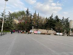 -金城公园