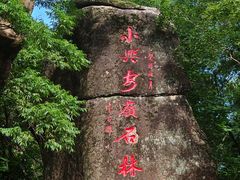 -汤旺河林海奇石景区