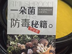 -一朵菌·野生菌探索家火锅(南亚店)