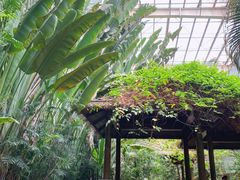 -龙达温泉生态城