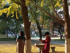 -山东大学(趵突泉校区)
