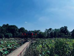 -青龙山国家森林公园