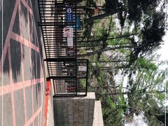 -长春市南湖公园