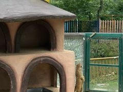 -合肥滨湖国家森林公园