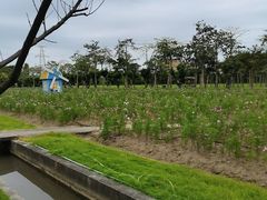 -广东花都香草世界旅游度假区