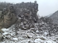 -王顺山国家森林公园
