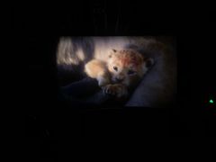 -万达影城(世茂海峡广场IMAX店)