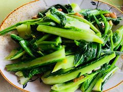 增城迟菜心-荔枝红五号农庄