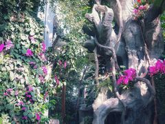 -郑州植物园