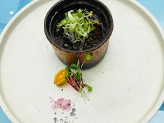 -明仕田园酒店