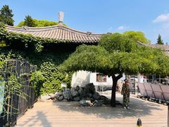 -团结湖公园