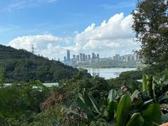 -深圳仙湖植物园