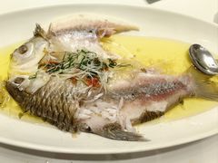清蒸忘不了鱼-老人和饭店(打浦路店)