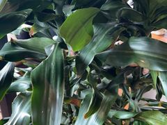 -盐帮食坊•小河帮川菜(四川师大店)