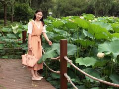 -陈家山荷花公园