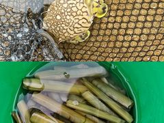 -巧克力渔家.小船海鲜家常菜(万平口店)