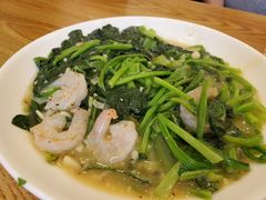 烧菠菜-新健小吃(承德街店)