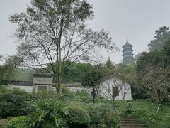 -重庆园博园