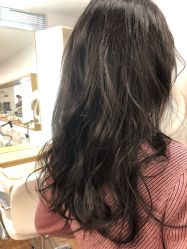 -THE LOG SALON 记录
