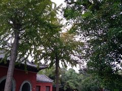 -泰山风景名胜区