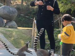 -泉州海丝野生动物世界