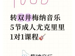 -梅纳·钢琴声乐架子鼓Mena Music(双井店)