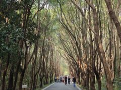 -同里国家湿地公园
