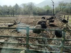 -西安秦岭野生动物园