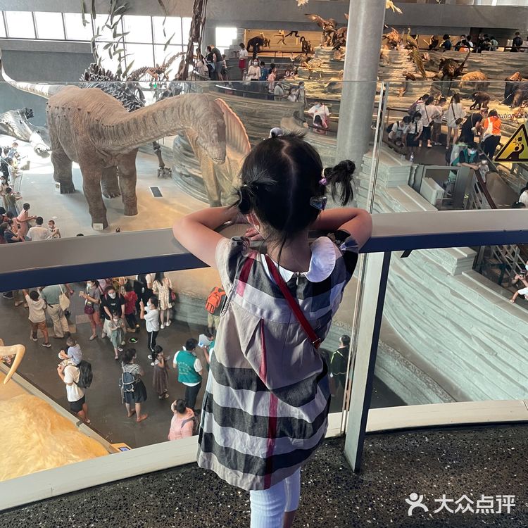 今天带小朋友溜达了一下上海自然博物馆 感慨有二：