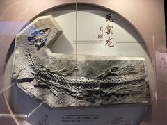 -贵州省地质博物馆
