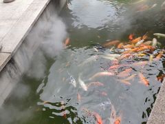 -檀园