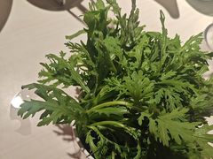 -思阁炭香火锅(学伟鑫城总店)