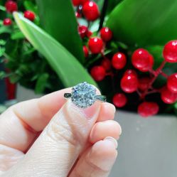 -钻石小鸟钻戒婚戒定制(石路店)