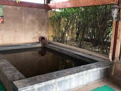 -仁爱团泊湖温泉中心