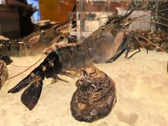 -Ministry of Crab(科伦坡店)