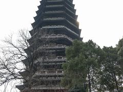 -红梅公园