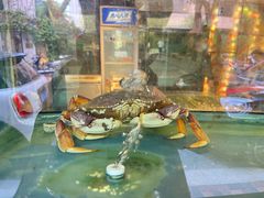 -肥仔文澳门猪骨煲(南京西路店)