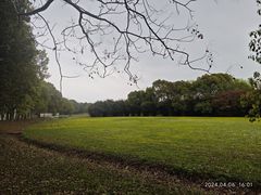 -莲花岛景区