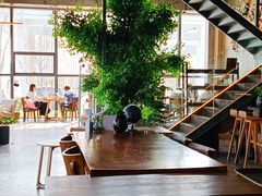 -了不起的考拉咖啡店(高新店)