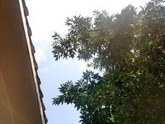 -圣爵菲斯大酒店(长沙世界之窗店)