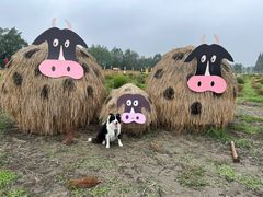 -中国天府农业博览园