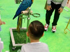 -兰岛广场(白沙路店)