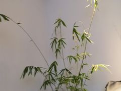 -见山茶事(丽水路店)